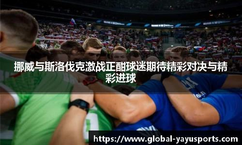 挪威与斯洛伐克激战正酣球迷期待精彩对决与精彩进球